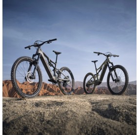 AMFLOW PR CARBON PX